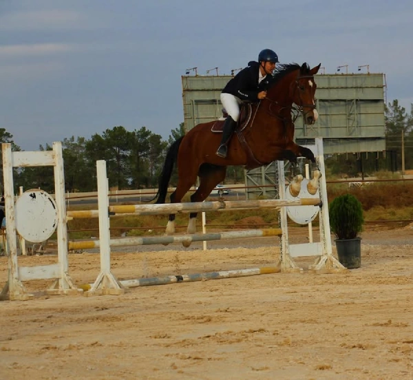 باشگاه سوارکاری ماهان قم