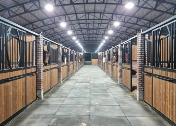 باشگاه سوارکاری مهراسب قم