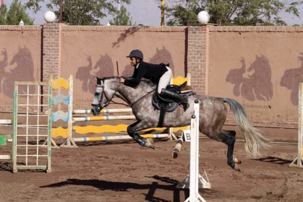 باشگاه سوارکاری سهیل قم