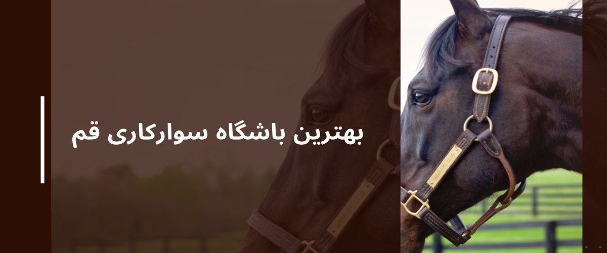 بهترین باشگاه سوارکاری قم