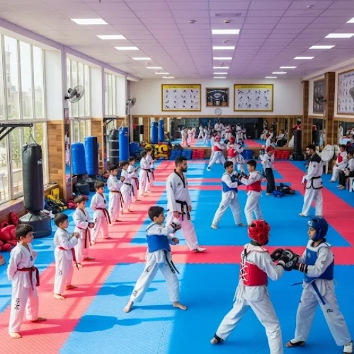 بهترین باشگاه تکواندو در قم