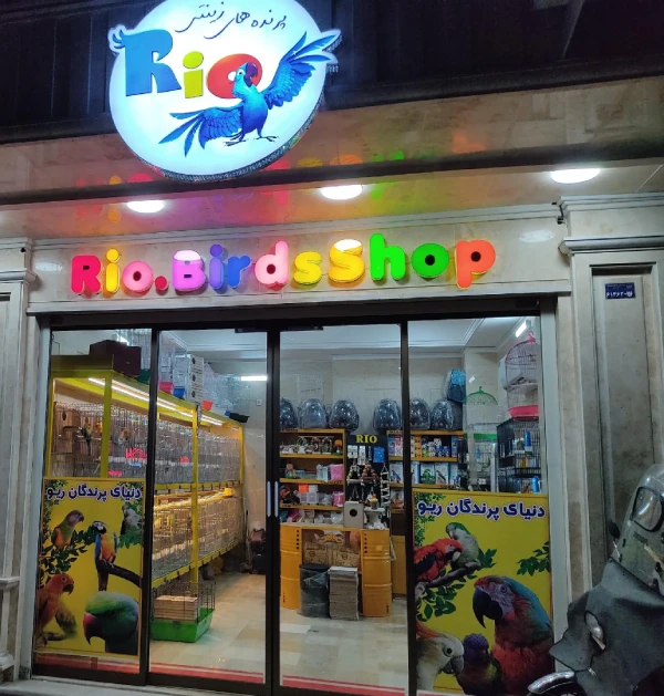 پرنده فروشی ریو قم