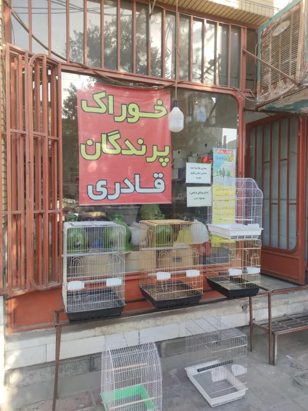 پت شاپ قادری قم