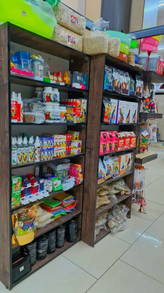 پت شاپ هامون قم