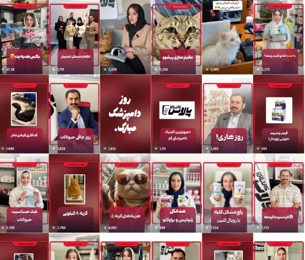 پت شاپ پالاس قم