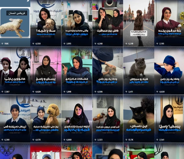 کلینیک دامپزشکی ویونا