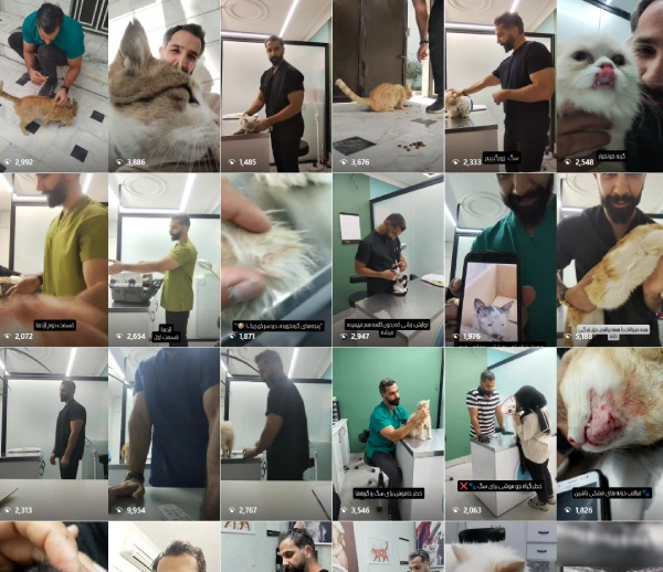 کلینیک دامپزشکی دی قم