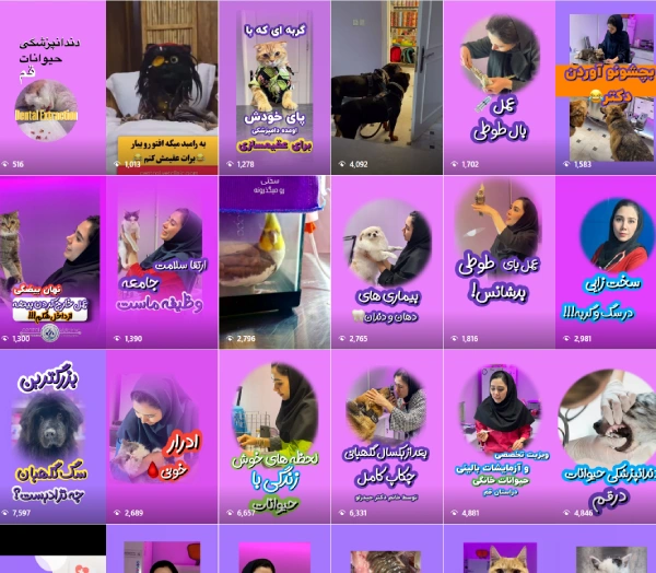 کلینیک دامپزشکی مرکزی قم