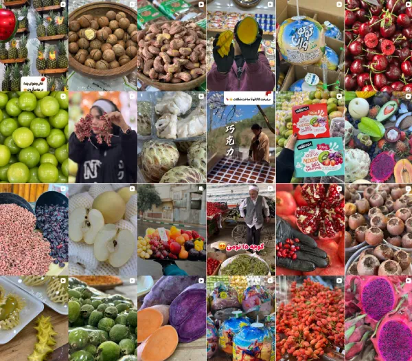 ریلز اینستاگرام میوه فروت قم